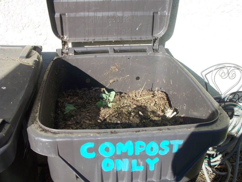 DIY compost bin wiht lid Hanbury House